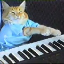 keyboard-cat-sol image