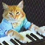 keyboard-cat image