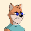 lc-shib image