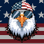 made-in-america image
