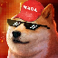 maga-doge image