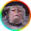 maluo-token image