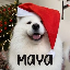 maya-solana image