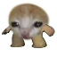 mini image