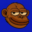 monkey-cult image