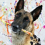 monkey-the-picasso image