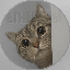 nala image