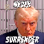 never-surrender image