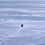 nietzschean-penguin image
