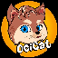 ocicat image
