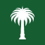 palm-usd image