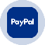 paypal-tokenized-stock-ondo image