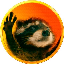 pedro-the-raccoon image