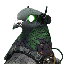 pjn image