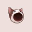 popcat image