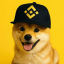 pupxbnb image