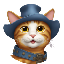 pussfi image