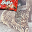 remember-kitkat image