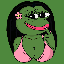 roxy-frog image