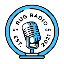 rug-radio image