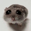 SAD HAMSTERImage