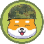 shib-army image