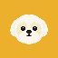 shihtzu image