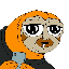 slerf-old image