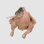 smoking-chicken-fish image