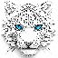 Snow LeopardImage