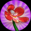 solitaire-blossom image