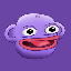 solly image