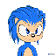 solnic image