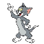 tom-cat image
