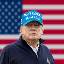 tonald-trump image