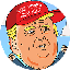 trump-ip image