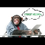 trust-me-bros-by-virtuals image