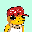 turbo-trump-info image