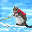 twiggy-the-water-skiing-squirrel image