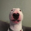 walter image