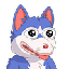 wolt image