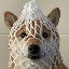 wrapped-dog image
