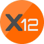 X12 CoinImage