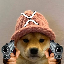 xrpwifhat image